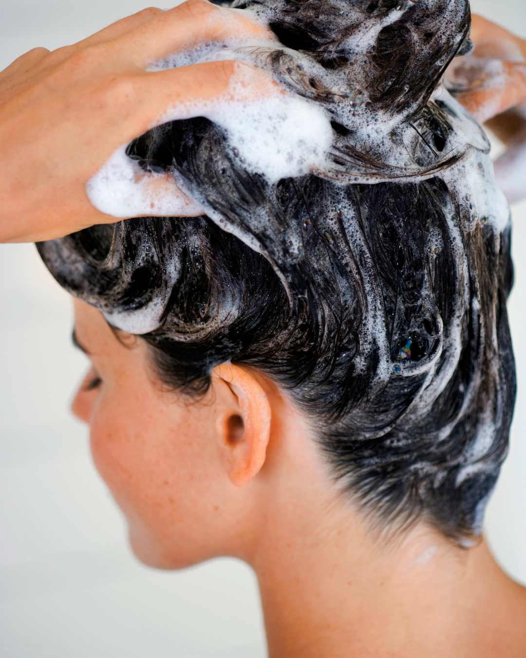 Shampooing Volumateur