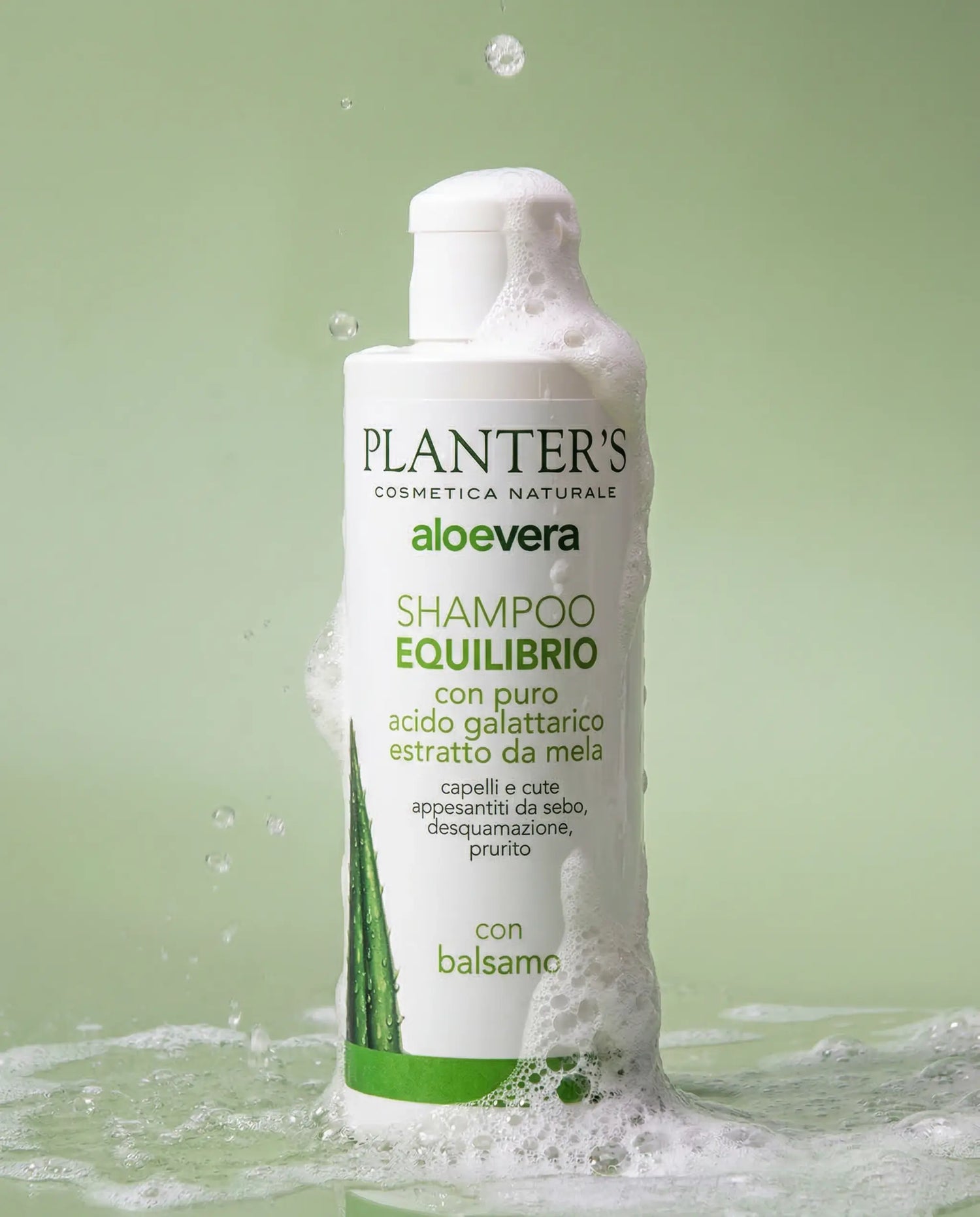 Shampooing Équilibre
